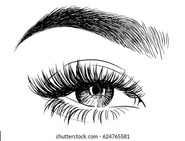 Woman Eye With Perfectly Shaped Eyebrows And Full Lashes