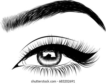 Woman eye with perfectly shaped eyebrows and full lashes