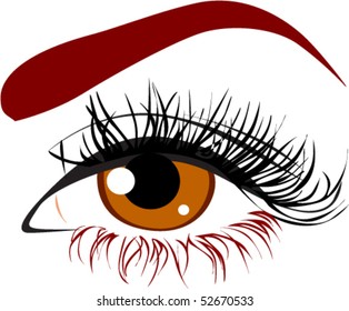 Woman eye. Vector