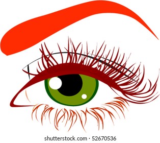 Woman eye. Vector