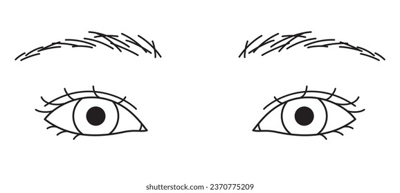 woman eyes, double eyelids, Almond eyes, outline illustration