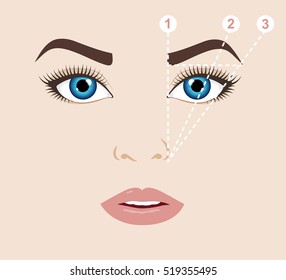 Woman Face And Eyebrow Scheme. Trimming. How To Shape Your Eyebrows At Home. Makeup Tips. Perfect Brow Shape For Your Face. Trendy Mapping. Vector Illustration. 