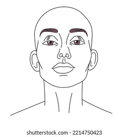 356 Bald Woman Sketch Images, Stock Photos & Vectors | Shutterstock