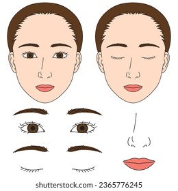 woman face parts, illustration vector file