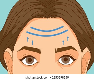 A woman faced age problems. Age skin. Wrinkles on the forehead.  Mimic wrinkles. Healthcare illustration. Vector illustration.