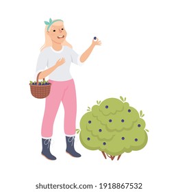 Woman Farmer or Agricultural Worker Gathering Blueberries in Wicker Basket Vector Illustration