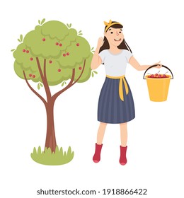 Woman Farmer or Agricultural Worker Picking Cherry from the Tree and Putting them in Bucket Vector Illustration