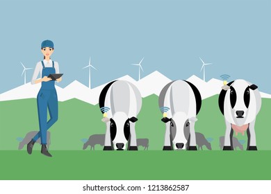 Woman farmer with digital tablet on a cattle grazing. Internet of things in cattle breeding. Vector illustration