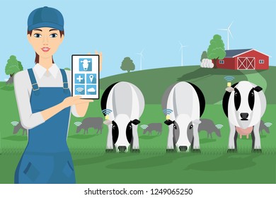 Woman farmer with digital tablet on a cattle grazing. Internet of things in cattle breeding. Vector illustration