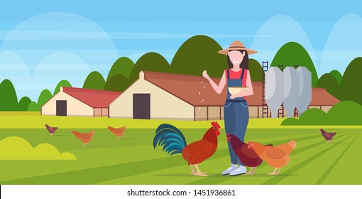 woman farmer feeding chicken and rooster free range poultry breeding farming agriculture concept barn building countryside landscape background, flat full length horizontal,