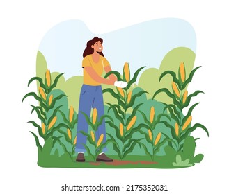 Woman Farmer in Gloves Harvesting Corn on Field. Gardener Female Character Working, Collecting Ripe Vegetables Crop, Healthy Farm Production, Girl Working on Ranch. Cartoon Vector Illustration