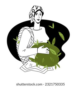 Woman farmer picking harvest of tea plant, flat vector illustration isolated on white background. Design for green and black tea packs.