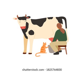 Woman farmer sitting on chair and milking cow. Milkmaid working on dairy farm. Organic rural milk production. Flat vector cartoon illustration isolated on white background