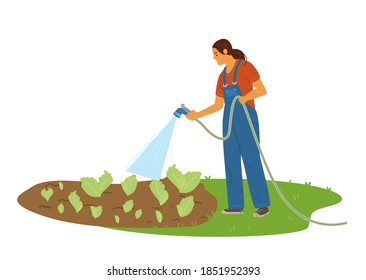 Woman Farmer Watering Salad Plantation With A Hose. Flat Vector Illustration.