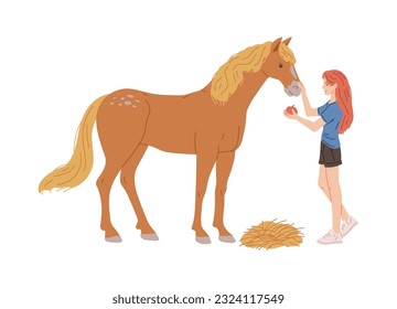 Woman feeding horse with apple, cartoon flat vector illustration isolated on white background. Person taking care of animal. Horse riding concept.