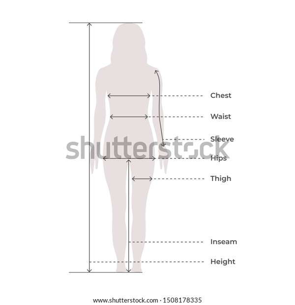 Woman Female Body Measurement Proportions Clothing Stock