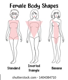 Woman or Female Body Shapes 3 set
