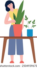 Woman fertilize soil in houseplants. Organic plants care