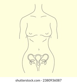 Woman figure female body structure uterus flower linear illustration