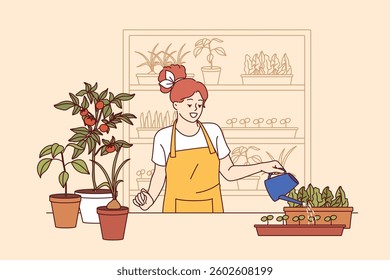 Woman florist grows house plants, uses watering can, standing near table and shelves with houseplants. Young girl florist enjoys own work, dressed in apron to avoid stains on clothes