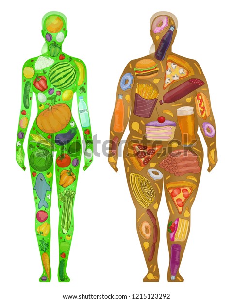 女性 体内の食べ物 厚みの薄い 害の用途 適切なダイエットベクターイラスト のベクター画像素材 ロイヤリティフリー