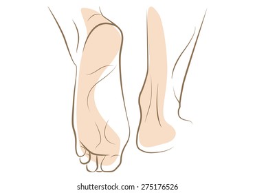 Woman foot sketch, drawn in vector lines
