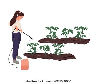 A woman gardener or farmer sprays tomato seedlings with herbicide after planting in the ground. Treatment and protection of seedlings from insects and pests. Flat vector