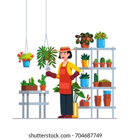 Woman gardener or florist working in botanical garden or home backyard terrace orangery, planting flowers. Rack, plants in pots, hanging baskets. Flat vector illustration isolated on white background.