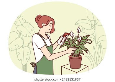 Woman gardener from greenhouse takes care of house plants by spraying leaves with fertilizer to get rid of termites. Florist girl works in greenhouse and breeds home plants for sale in own store