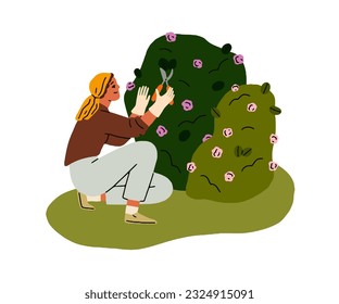 Woman gardener pruning plant in garden. Person cultivating, cutting rose flower shrub with shears, scissors, pruner. Horticulture hobby. Flat graphic vector illustration isolated on white background