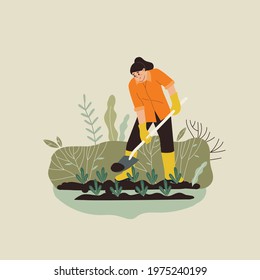 Woman gardening. Woman planting gardens flowers, agriculture gardener hobby and garden job. Gardening person, gardener flowers cutter working