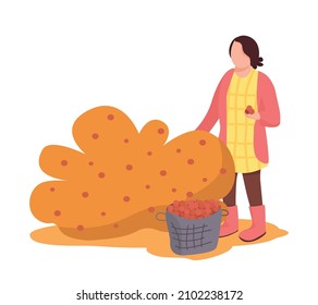 Woman gathering fall berries semi flat color vector character. Gardening figure. Full body person on white. Autumn activity isolated modern cartoon style illustration for graphic design and animation