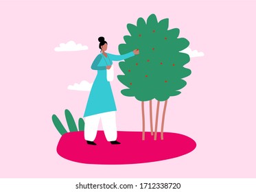 Woman gathering tree fruits vector illustration. Female working at garden. Farming concept. Cute girl and nature. Person taking care of the bush. 