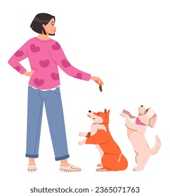 A woman gives a treat to her dogs. Pet owner feeds her pets. Flat vector illustration.