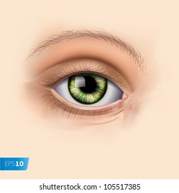 Woman green eye Vector eps10 image