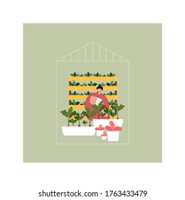 Woman in greenhouse taking care of plants and watering plants. Urban gardening concept illustration
