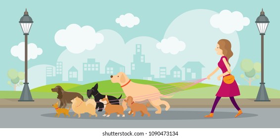 Woman with Group of Dogs in the Park with leash, Outdoor City Background