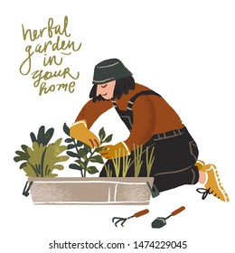  Woman growing herbs in her garden. sustainable living. illustration with herbs,pots,garden tools.  Zero waste life slogan-  "herbal garden in your home", typography. Vector