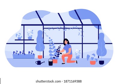 Woman growing plants in pots in greenhouse, using shovel and watering pots, cultivating houseplants. Vector illustration for home garden, florist job, nature, hobby concept