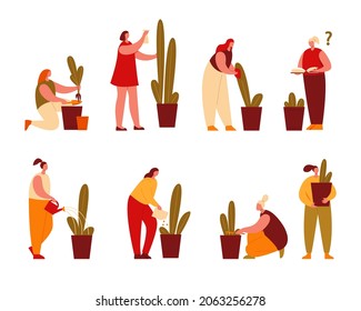 Woman grows and cares for houseplants. Set of vector illustrations in flat style.