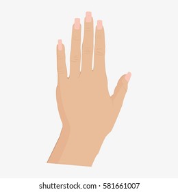 Woman hand back side. Isolated on white background. Flat vector stock illustration