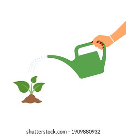 Woman hand holds a watering can and waters a young green sprout of plant. Flat design. Vector illustration isolated on white