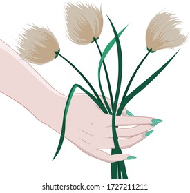 Woman hand with light white skin and north cottongrass plant Eriophorum