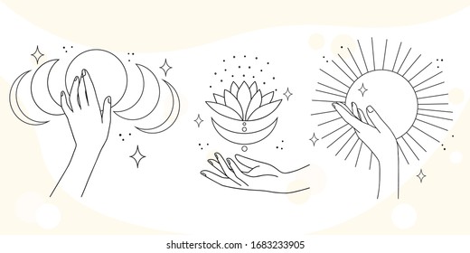 Woman Hand Line Art Collection Delicate Stock Vector (Royalty Free ...