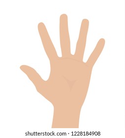 Woman hand on white backround, flat design vector illustration