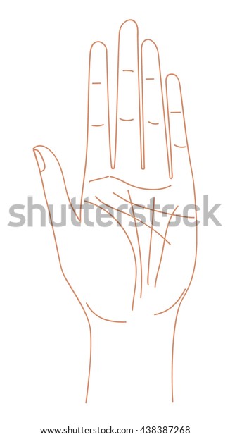 Woman Hand Palm Line Drawing Vector Stock Vector (Royalty Free ...