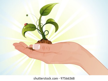 Woman Hand with the Young Green Sprout from the Ground with Water Drops and Ladybug, vector illustration