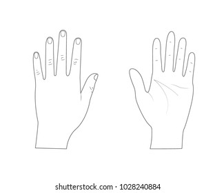 Woman Hands. Back Of The Hand. Palm Hand. Outline.Vector Illustration. Isolated On White Background.