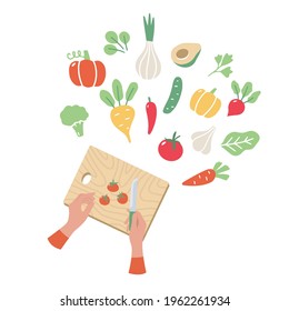 Human hand chopping and cutting fresh vegetable Vector Image