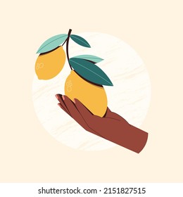 Woman hands holding lemon. Vector illustration of lemon branch, lemon tree. Banner for fresh bar, juice bar. Organic products. Summer time.